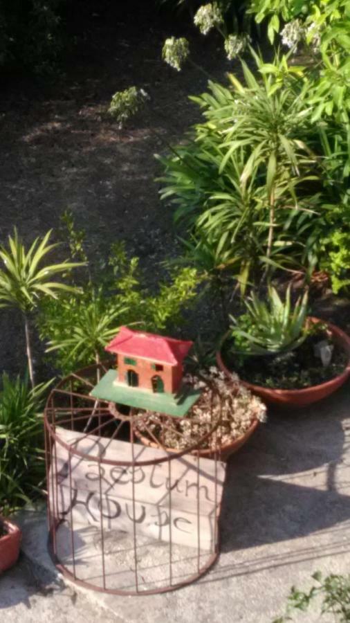 Paestum House Bed & Breakfast Exterior photo